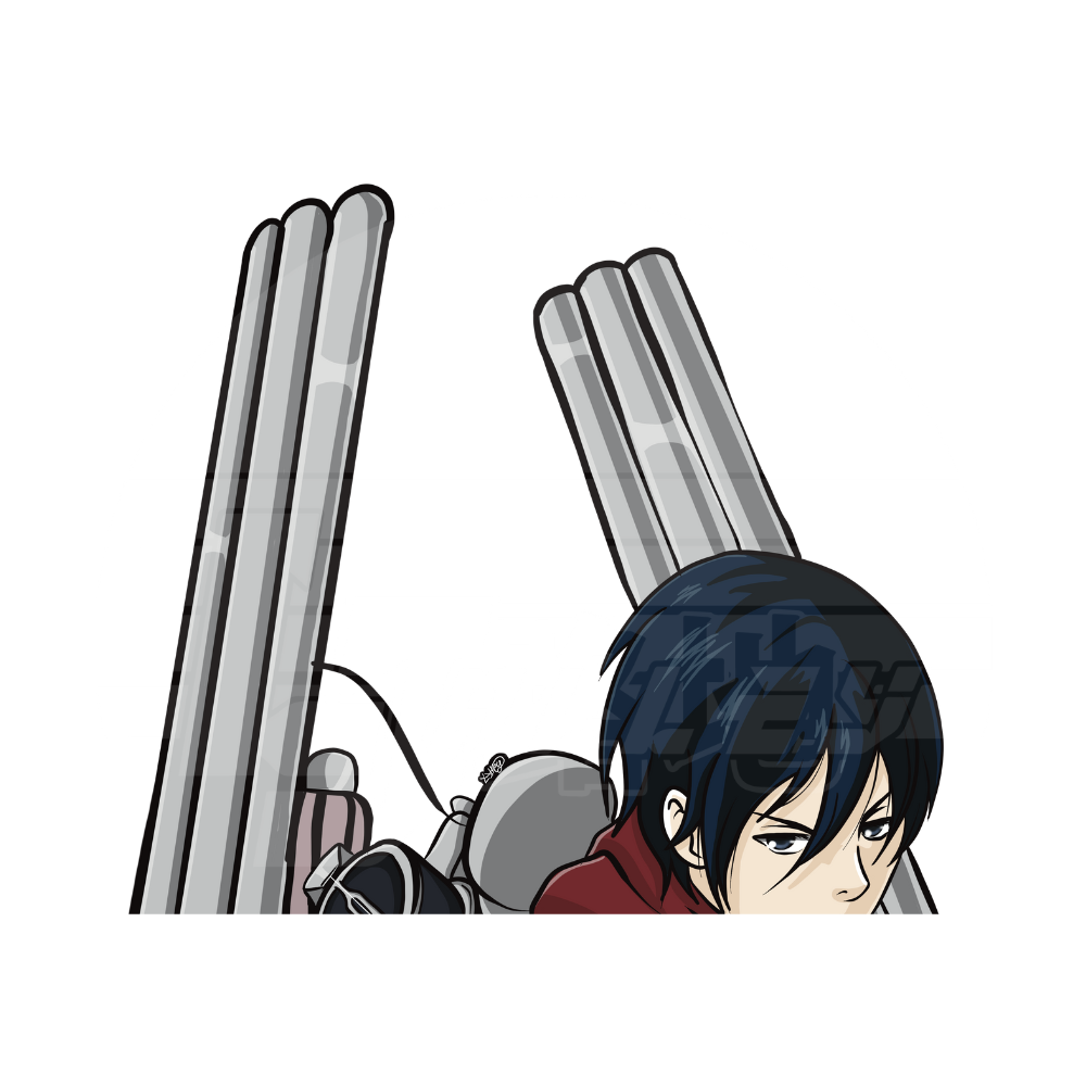 Mikasa